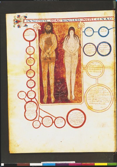 Adán y Eva y la genealogía de Cristo, de un Comentario sobre el Apocalipsis por el monje asturiano Beato de Liébana, c.1028-72 de French School