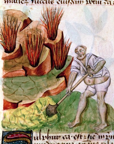 Buscando azufre, de Dioscorides De Herbis de French School