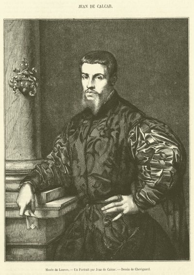 Museo del Louvre, Un retrato por Jean de Calcar de French School
