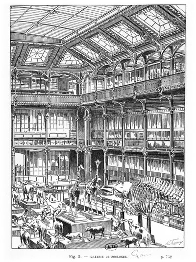 Museo de Historia Natural en París de French School