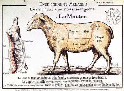 Cordero: diagrama que representa los diferentes cortes de carne de French School