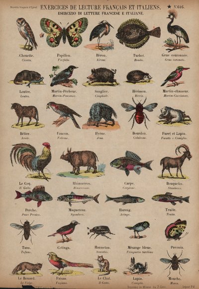Nombres de animales en francés e italiano de French School