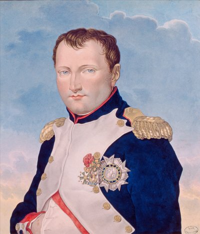 Napoleón I de French School