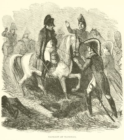 Napoleón en Waterloo de French School