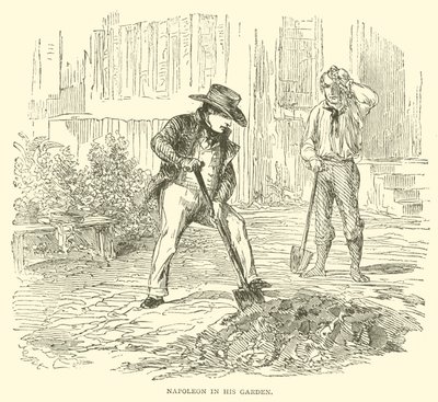 Napoleón en su jardín de French School