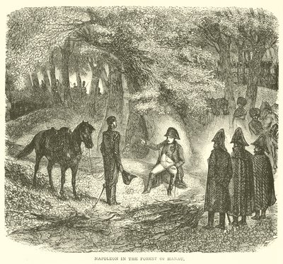 Napoleón en el bosque de Hanau (grabado) de French School