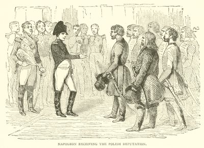 Napoleón recibiendo la delegación polaca de French School