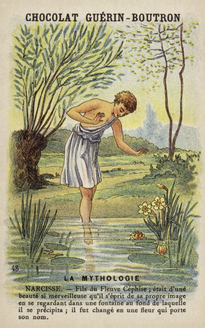 Narciso de French School