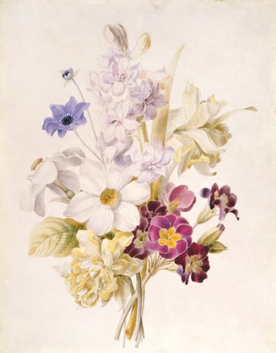 Narcisos y otras flores, 1840 de French School