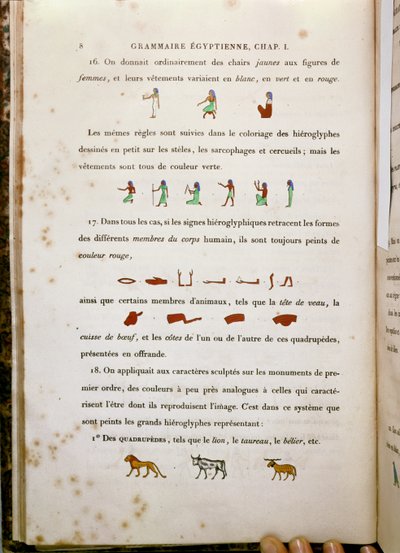 Notas sobre la coloración de ciertos jeroglíficos, de Grammaire Egyptienne por Jean Francois Champollion, 1836 de French School