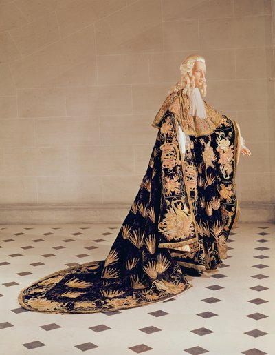 Togas oficiales de un caballero de la orden caballeresca francesa del Espíritu Santo de French School