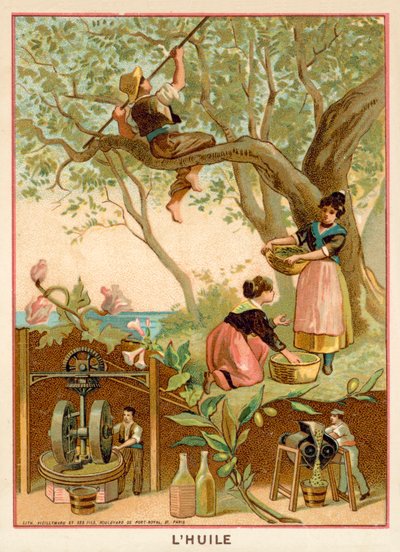 Aceite de oliva de French School