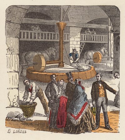 Producción de aceite de oliva (grabado en color) de French School