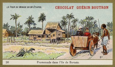 Paseo en carreta de bueyes en la isla de Borneo de French School