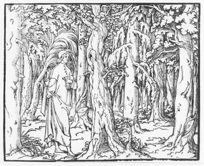 Página de "Discours du Songe de Poliphile", de Francesco Colonna, 1546 de French School