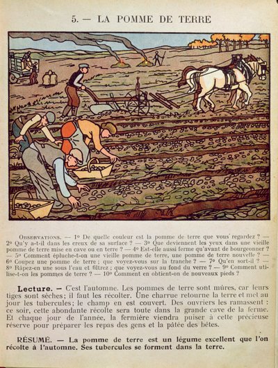 Página de un libro de texto escolar que ilustra el Cultivo de la Papa, c.1910 de French School