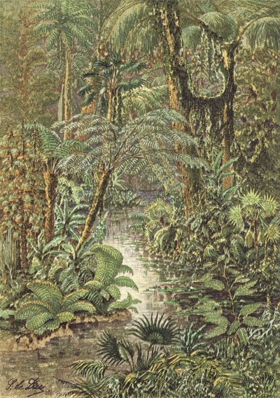 Paisaje antediluviano, un bosque del Carbonífero (litografía en color) de French School