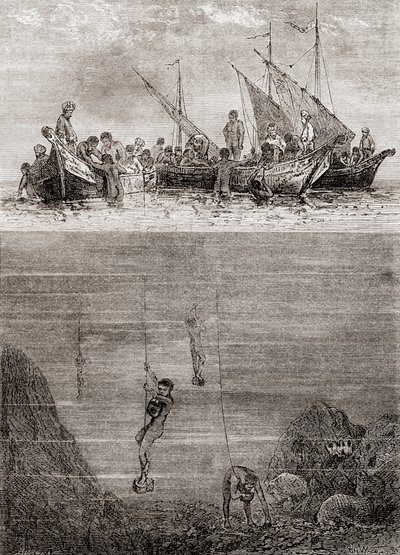 Buzos de perlas en la costa de la Isla de Ceilán en el siglo XVIII, de 