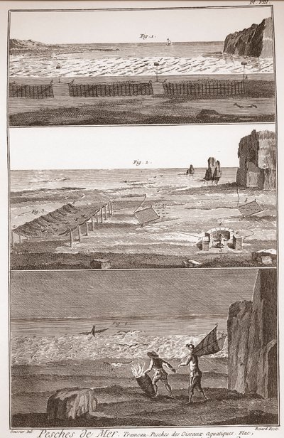 Pesca de mar - Trameau - Pesca de aves acuáticas - “The Great Encyclopedie, ou Dictionnaire Raisonné des Sciences, des Arts et des Métiers” (Enciclopedia o Diccionario de las Ciencias, Artes y Profesiones) por Denis Diderot (1713-1784) y Jean d