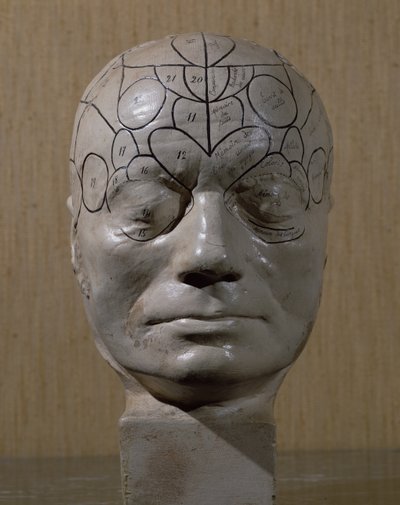 Cabeza frenológica por Jean Martin Charcot (cerámica) de French School
