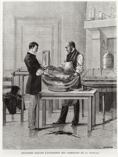 Físicos experimentando con un torpedo, segunda mitad del siglo XIX de French School