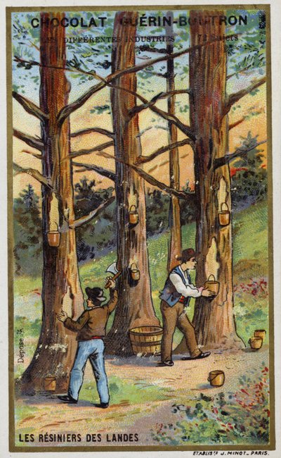 Recolectores de resina de pino en las Landas, Francia de French School