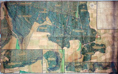 Plano y encuesta de los bosques pertenecientes a las monjas de Port Royal des Champs (Port-Royal-des-Champs) 1723 París, Archivos Nacionales de French School