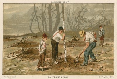 Plantación de árboles de French School