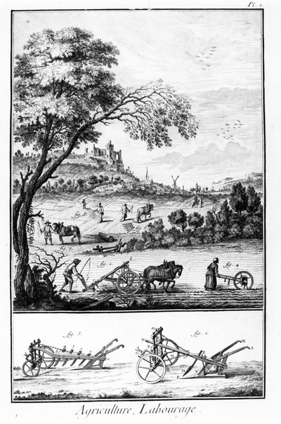 Placa de la Enciclopedia de Diderot y Alembert: Agricultura y arado. Siglo XVIII de French School