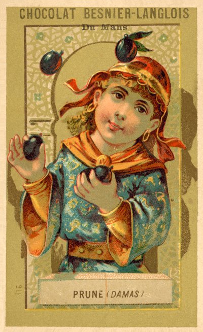 Ciruelas de Damasco de French School