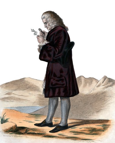 Retrato de Bernard de Jussieu (1699-1777) de French School