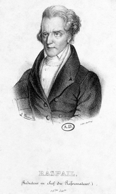 Retrato de François Vincent Raspail (1794 - 1878): Editor en Jefe del Reformador de French School