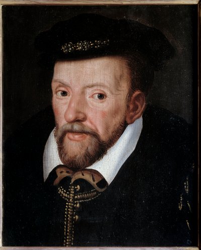 Retrato de Gaspard de Coligny (1519-1572) Almirante de Francia de French School