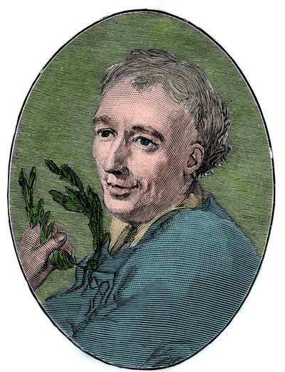 Retrato de Laurence Eusden (1688-1730) poeta inglés de French School