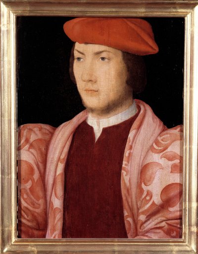 Retrato de Odet de Coligny, cardenal de Chatillon en 1534 (hijo de Gaspard de Coligny, Mariscal de Francia y hermano del Almirante Gaspard de Coligny) (1517-1571) alrededor de 1535. Pintura de la Escuela Francesa del siglo XVI. Dim. 0,32x0,23m. Versalles de French School