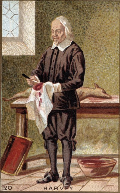 Retrato de William Harvey (1578-1657), médico inglés. de French School