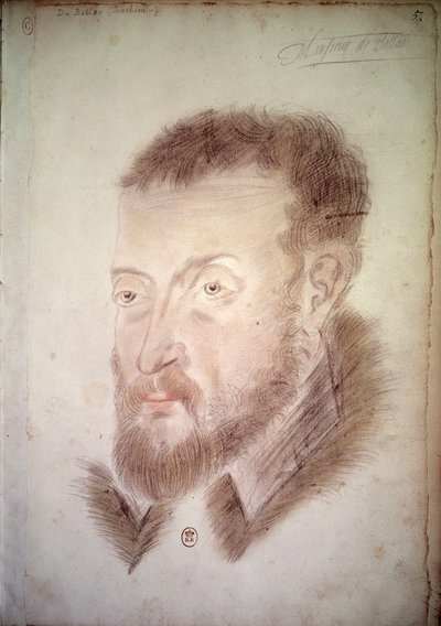Retrato del poeta Joachim du Bellay (1522-1560) Dibujo anónimo de la Escuela Francesa. Siglo XVI París. B.N. de French School