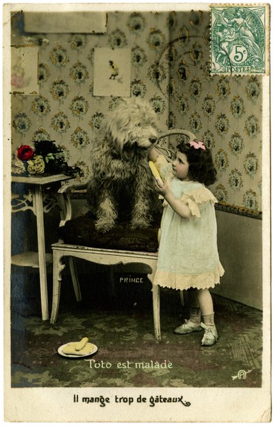 Postal: Toto está enfermo, ha comido demasiado pastel, Prince de French School