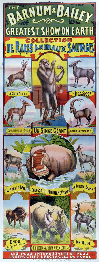 Cartel publicitario de la Colección de Raros Animales Salvajes para el circo Barnum y Bailey de French School