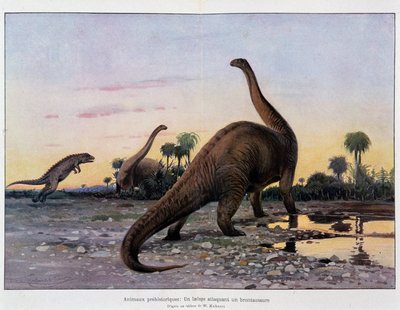 Animales prehistóricos: un laelaps atacando a un brontosaurio - en “El Universo y la Humanidad” de French School