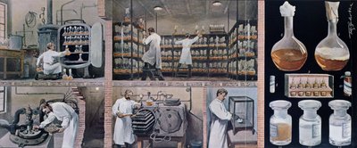 Preparando sueros para combatir la tuberculosis, de Les Animaux, c.1900 de French School