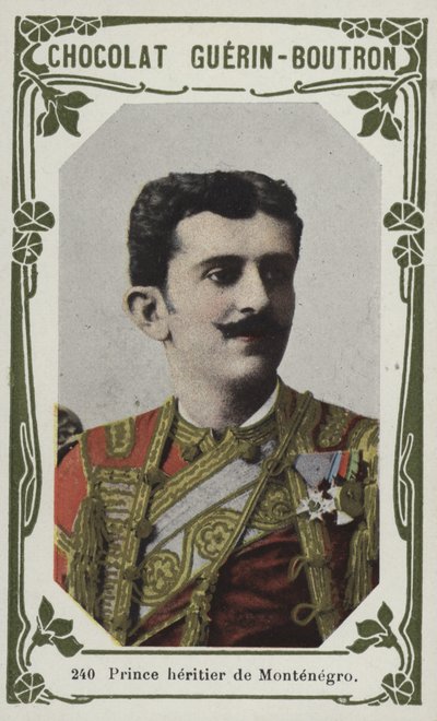 Príncipe heredero de Montenegro de French School