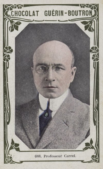 Profesor Carrel de French School