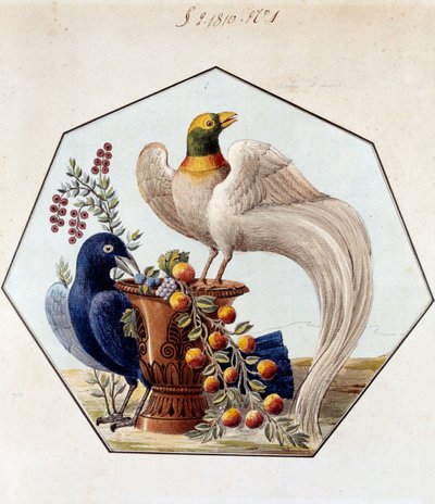 Proyecto para la mesa de aves en porcelana por Alexandre Brongniart (1770-1847). 1810 Sèvres, archivos de la Manufacture de Sèvres de French School