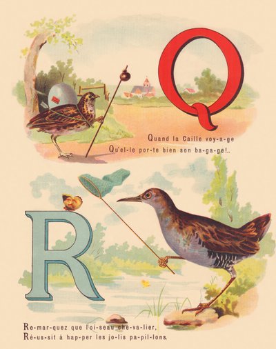 Q: Codorniz, rascón de French School