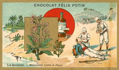 Quinina, medicina contra la fiebre de French School