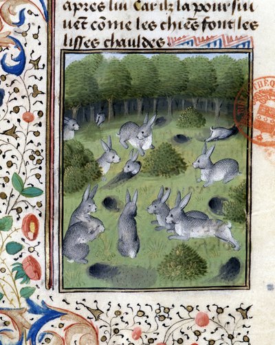 Conejos - en "Libro de Caza de Gaston Phoebus, Conde de Foix, Señor de Béarn" de French School