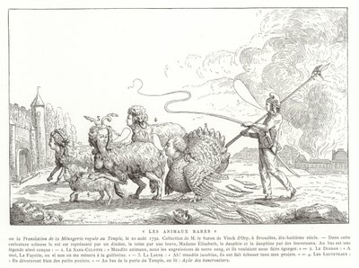 Animales Raros de French School