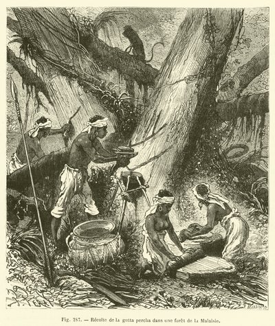 Recolección de gutapercha en un bosque de Malasia de French School