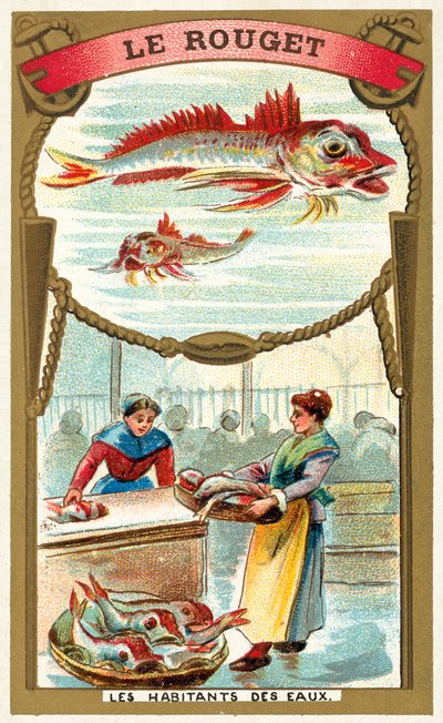 Salmonete (cromolitografía) de French School